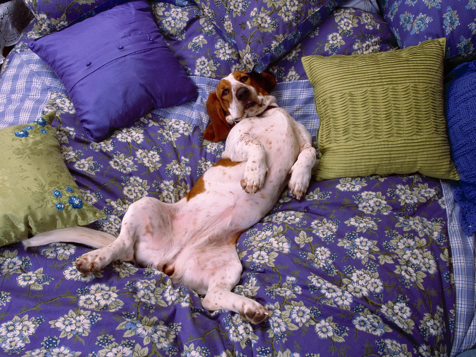 Новость культуры - № 7