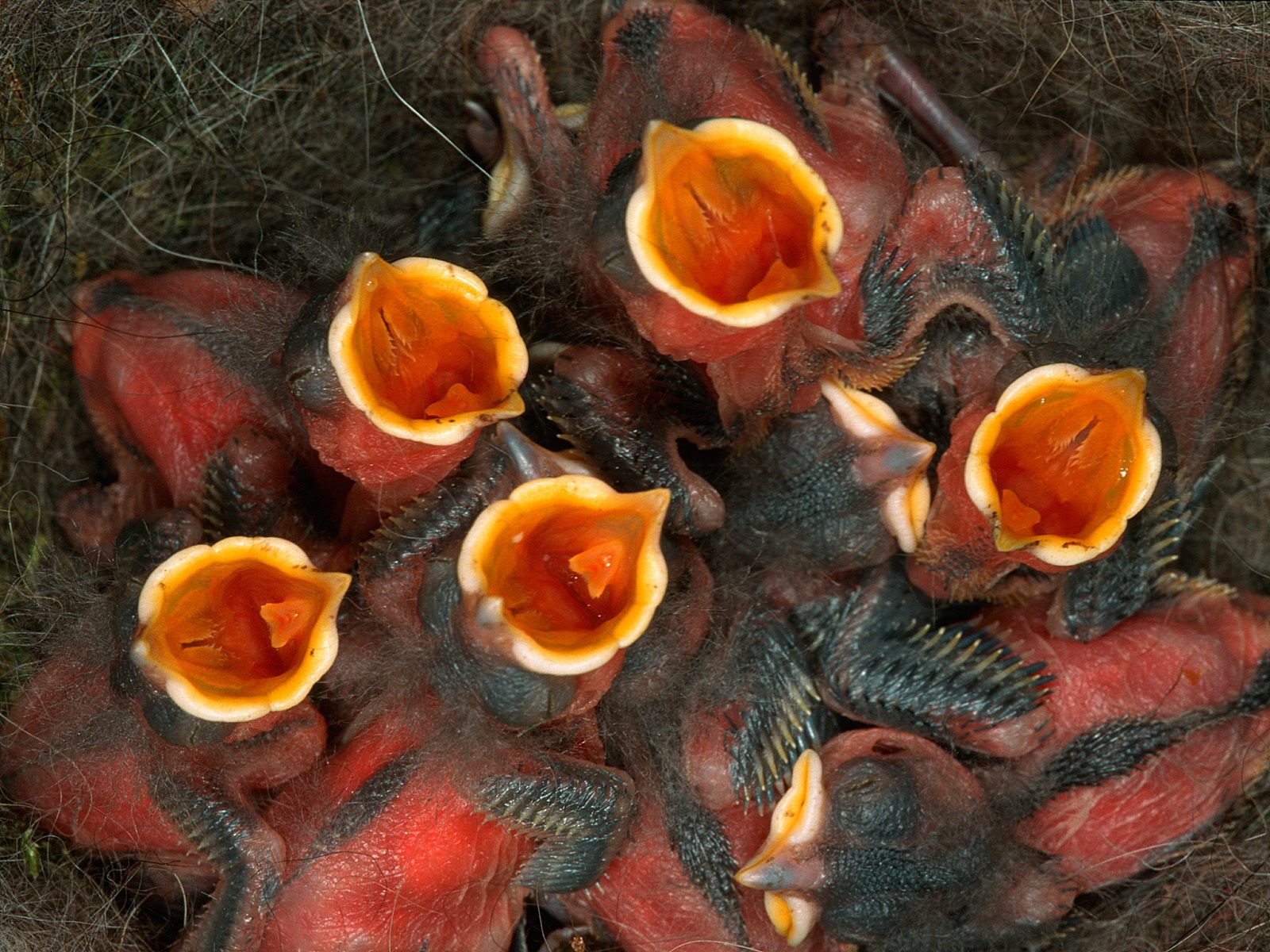 Новость медицины - № 24