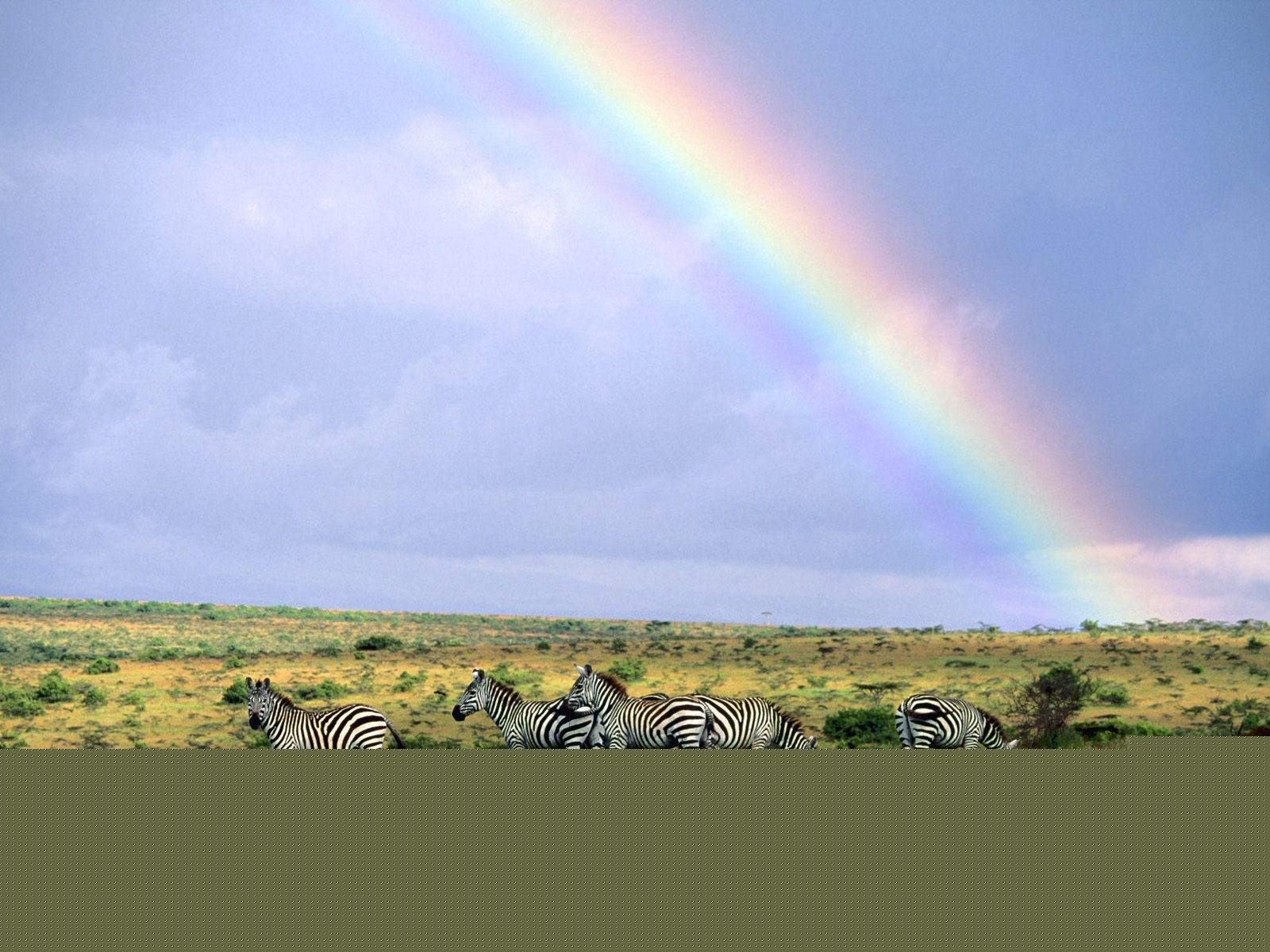 Новость науки - № 5