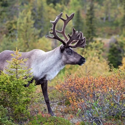 Новость спорта - № 13